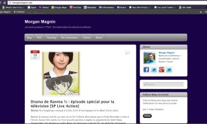 Le site morganmagnin.net après enrichissement via WordPress