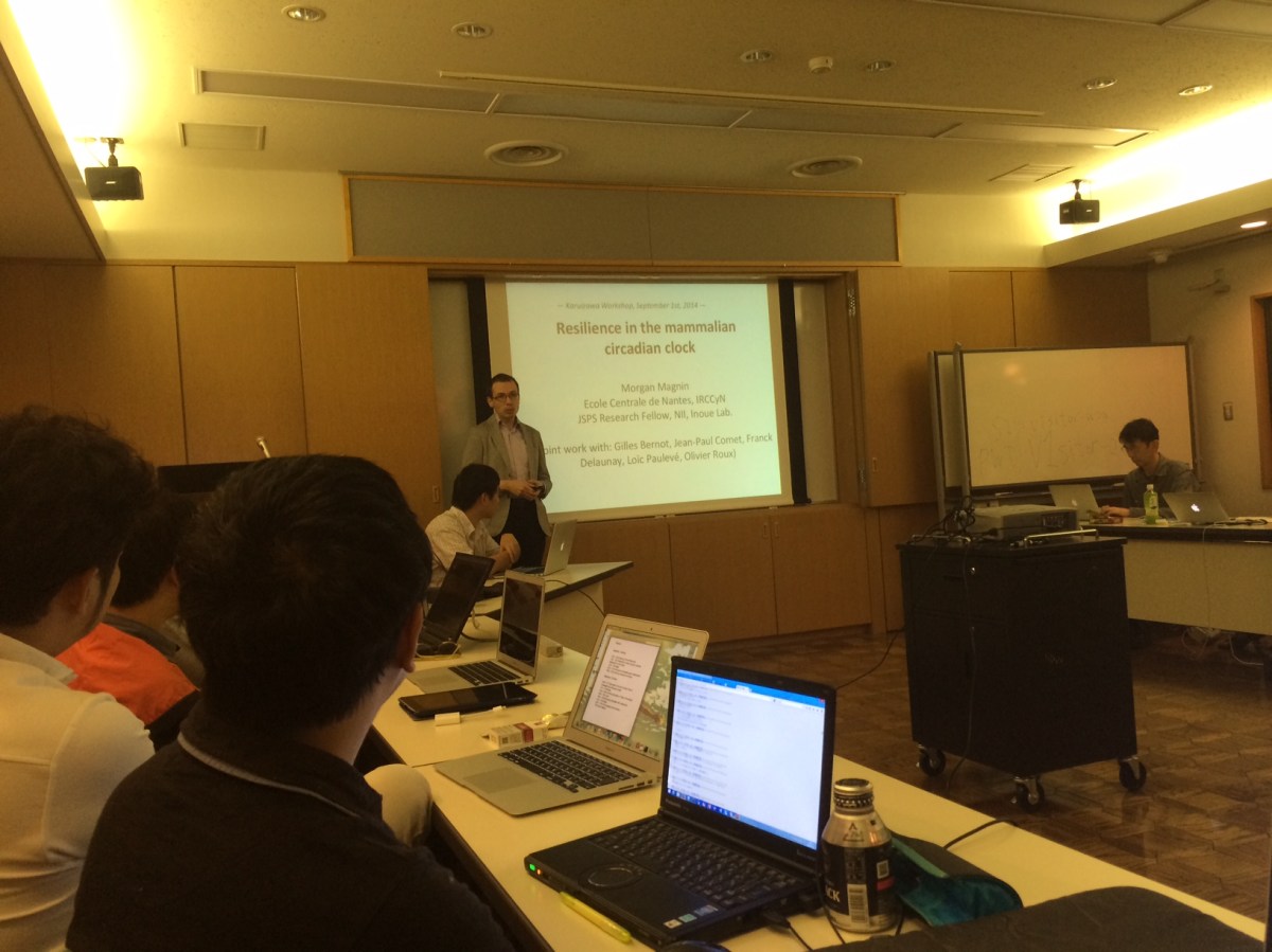 Invited Talk at Systems Resilience Workshop in Karuizawa