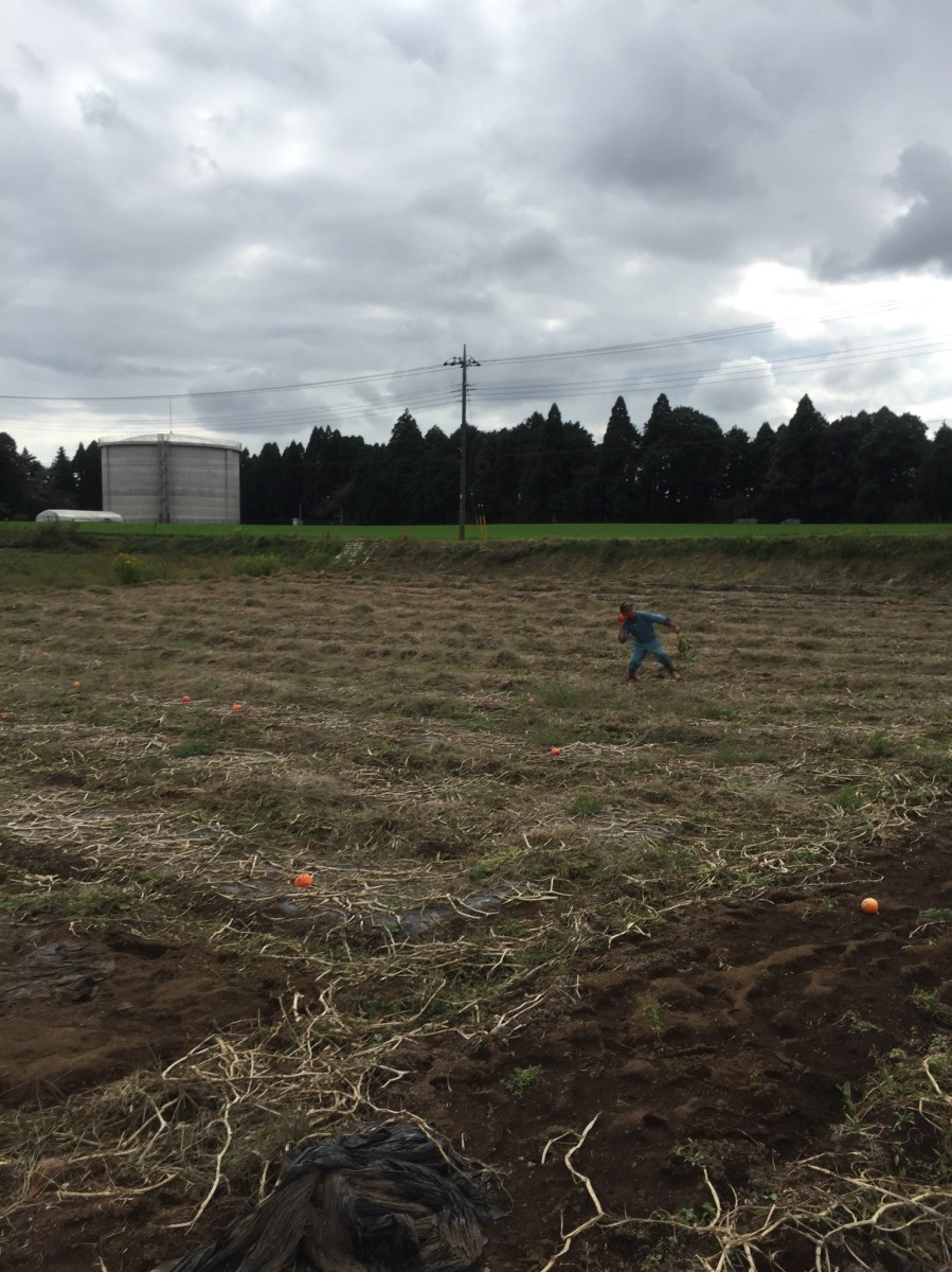 Overview of the fields