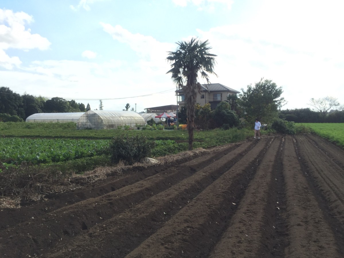 Saito-san farm in Chiba